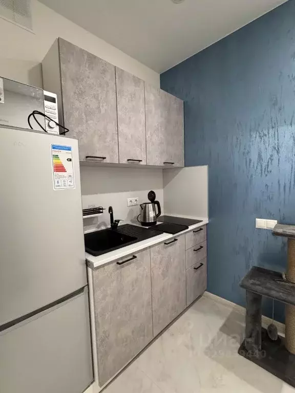 Студия Краснодарский край, Сочи ул. Ленина, 298б (33.0 м) - Фото 2