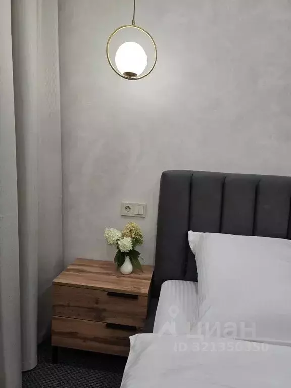 1-к кв. Пензенская область, Пенза Революционная ул., 34 (48.0 м) - Фото 2