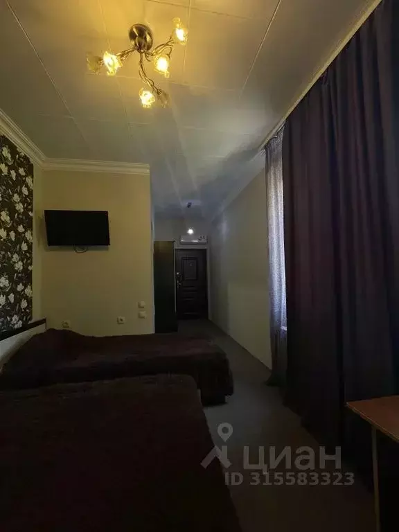 Комната Краснодарский край, Сочи пос. Лоо, ул. Весенняя, 15 - Фото 1