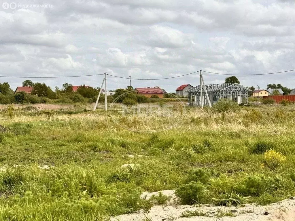 Участок в Калининградская область, Гурьевский муниципальный округ, ... - Фото 2