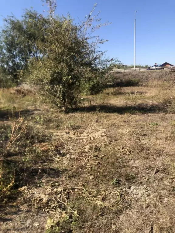 Участок в Ростовская область, Азовский район, Обильненское с/пос, пос. ... - Фото 2