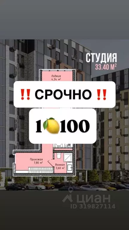 Студия Дагестан, Махачкала ш. Хушетское, 6 (33.0 м) - Фото 0