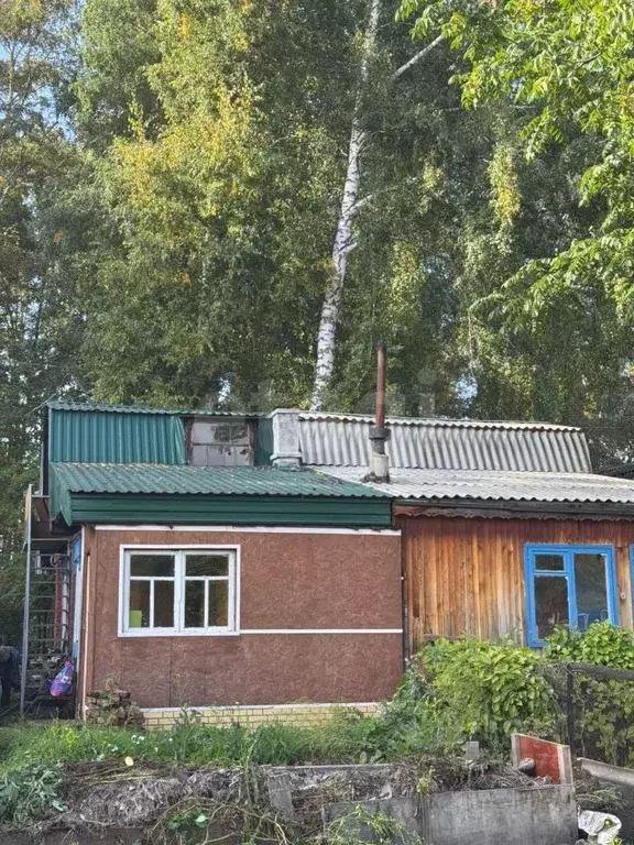 Дом в Кемеровская область, Кемерово Аэропорт СНТ,  (37 м) - Фото 1