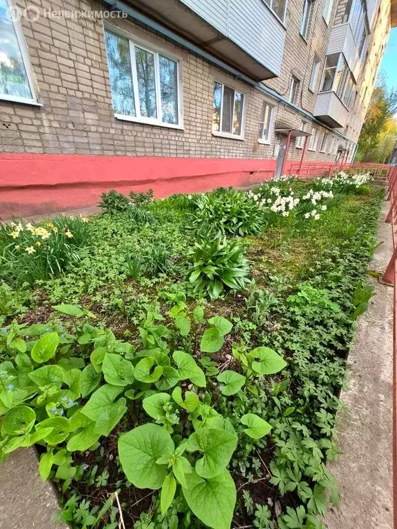 3-комнатная квартира: Краснокамск, улица Калинина, 4 (50.3 м) - Фото 0