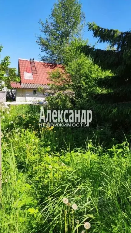 Дом в Ленинградская область, Приозерский район, Плодовское с/пос, пос. ... - Фото 2
