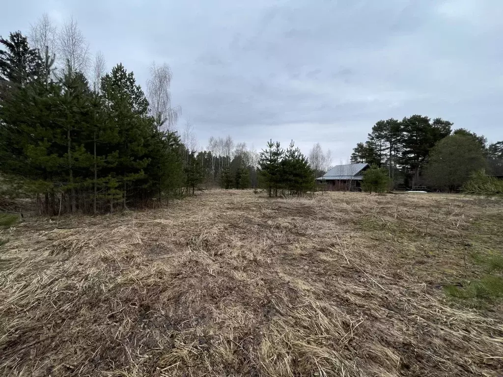 Участок в Московская область, Рузский муниципальный округ, с. ... - Фото 2