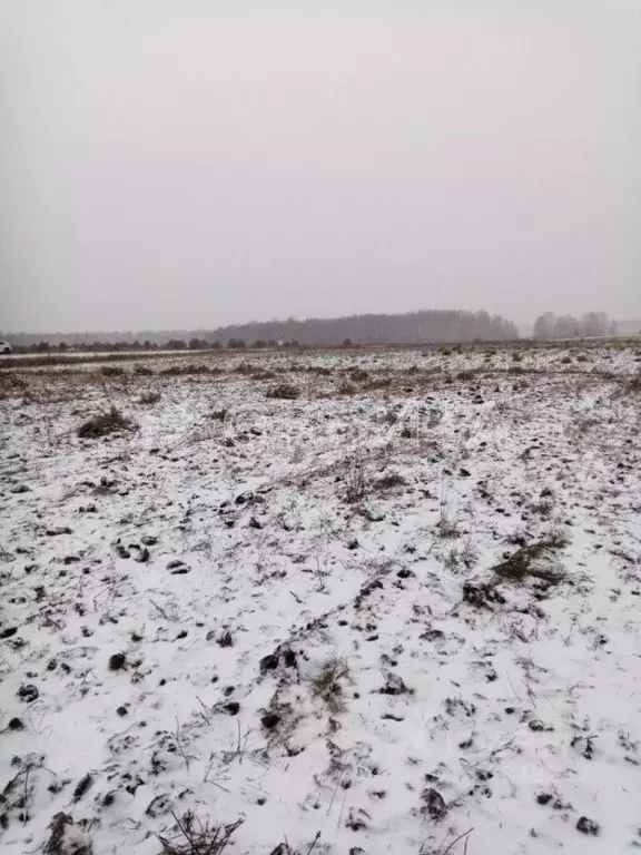 Участок в Тюменская область, Тюменский муниципальный округ, д. ... - Фото 1