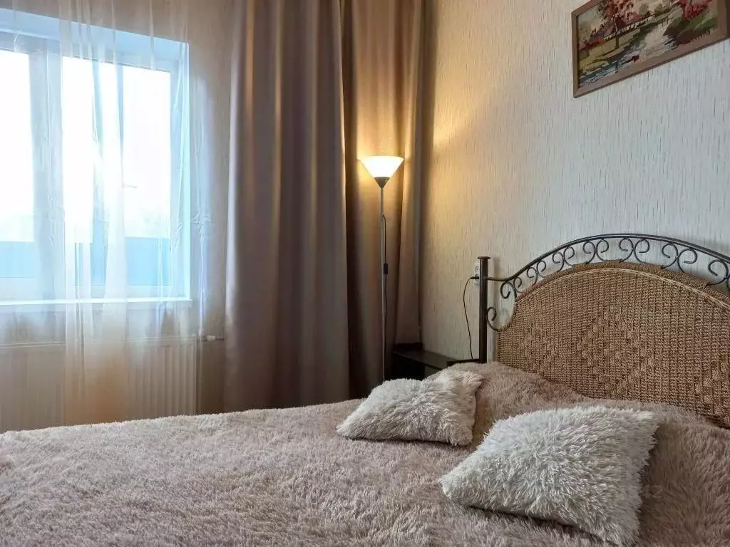 1-к кв. Ленинградская область, Кингисепп ул. Воровского, 50к2 (20.0 м) - Фото 1
