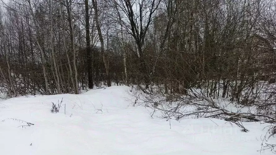 Участок в Московская область, Дмитровский муниципальный округ, д. ... - Фото 0