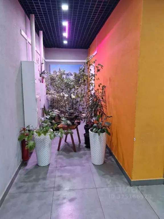 2-к кв. Московская область, Одинцовский городской округ, ... - Фото 1