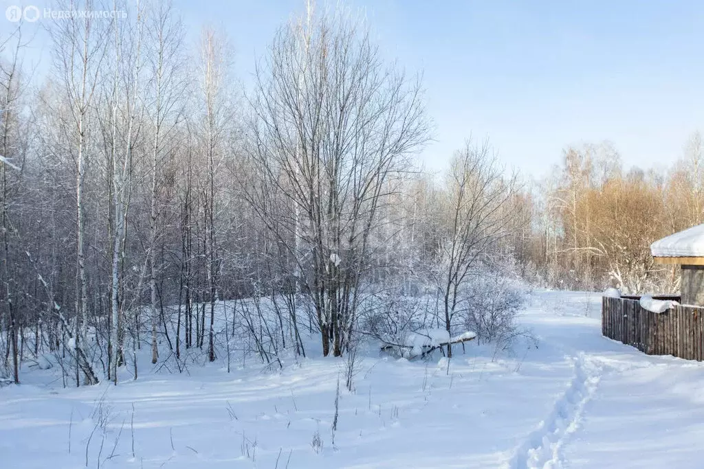 Участок в Тобольск, садоводческое товарищество Южанка (10.1 м) - Фото 0