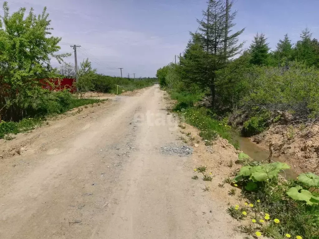 Участок в Сахалинская область, Анивский городской округ, с. Мицулевка  ... - Фото 1