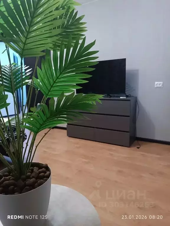 2-к кв. Нижегородская область, Павлово ул. Фаворского, 42 (42.0 м) - Фото 1