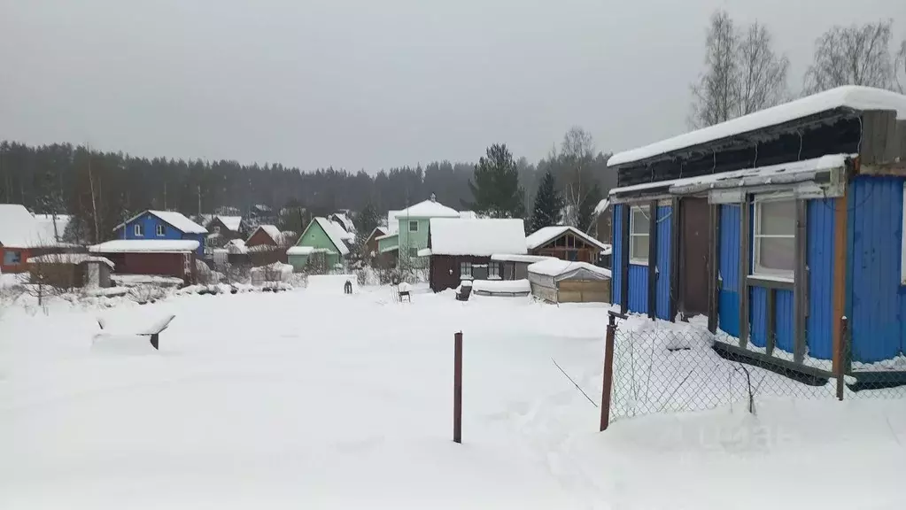 Участок в Ленинградская область, Приозерский район, Ромашкинское ... - Фото 1
