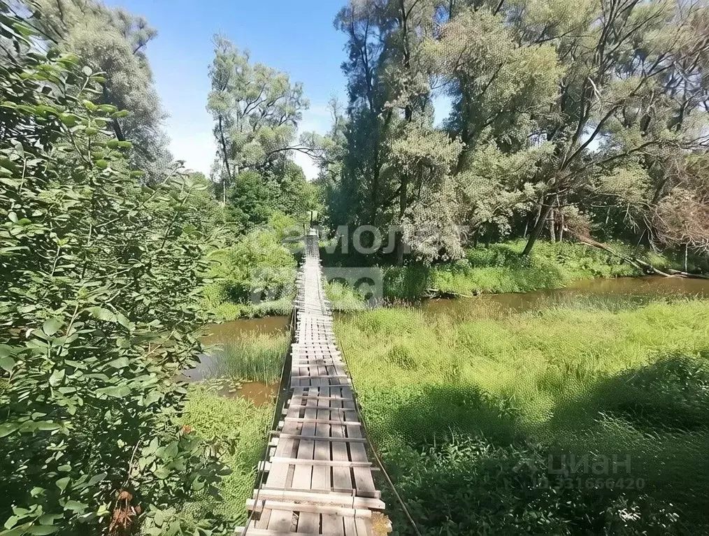Участок в Калужская область, Медынский муниципальный округ, д. ... - Фото 1