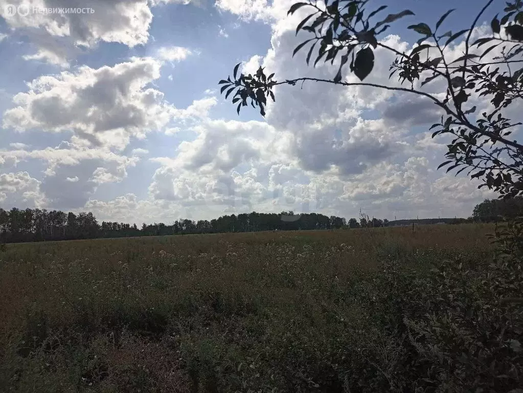 Участок в Любинский район, село Любино-Малороссы (20 м) - Фото 0
