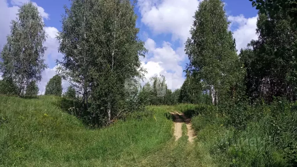 Участок в Новосибирская область, Новосибирский район, Барышевский ... - Фото 1