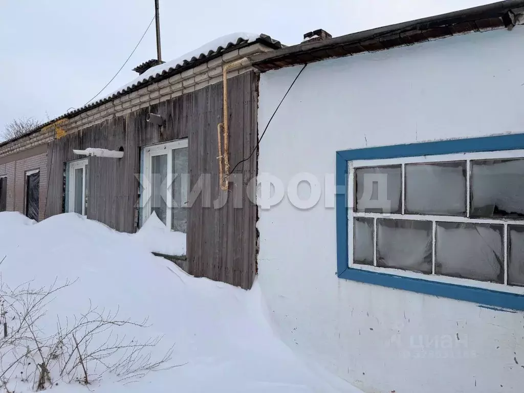 Дом в Новосибирская область, Коченевский район, пос. Речник Новая ул. ... - Фото 2