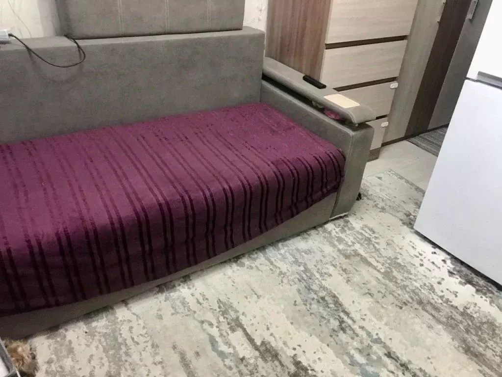 Студия Костромская область, Кострома ул. Шагова, 98 (15.0 м) - Фото 2