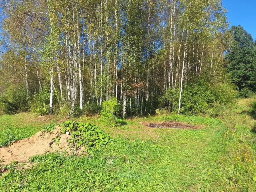 Участок в Московская область, Можайский муниципальный округ, Уваровка ... - Фото 1