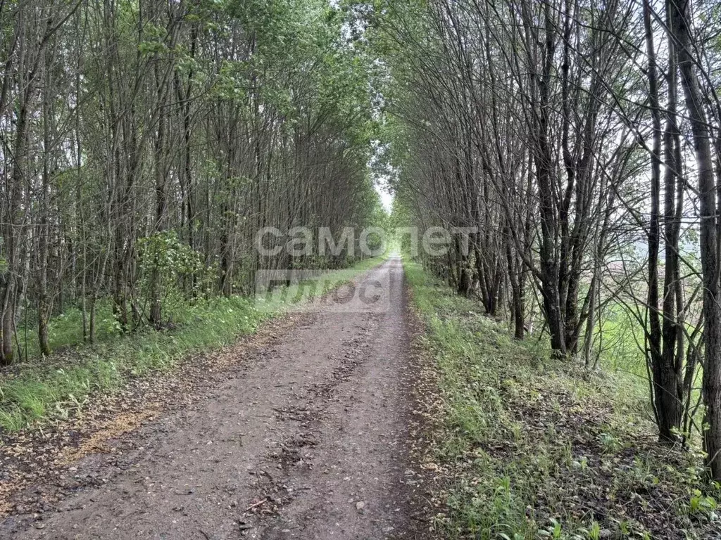 Дом в Костромская область, Судиславский муниципальный округ, д. ... - Фото 2