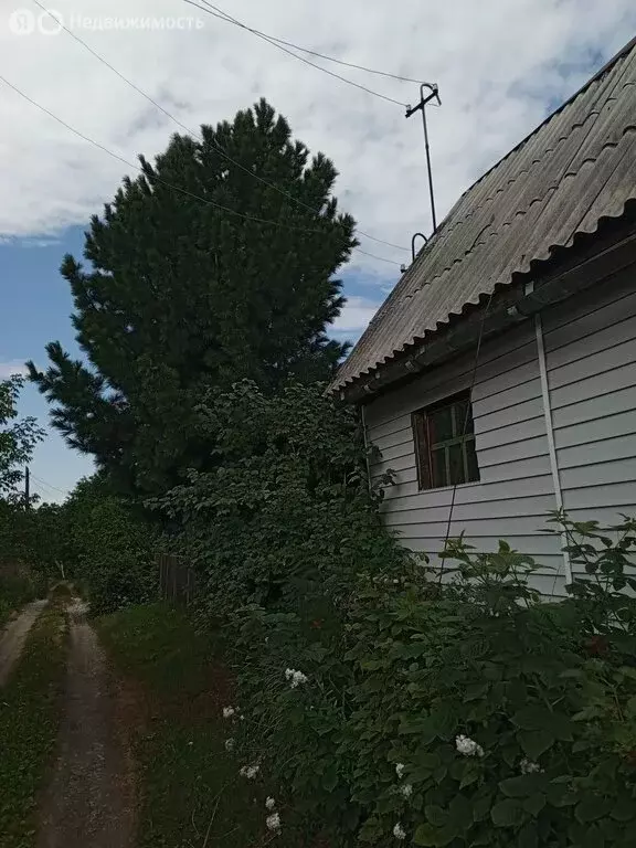 Участок в Зеленогорск, садоводство № 2, 67-я улица (4 м) - Фото 1