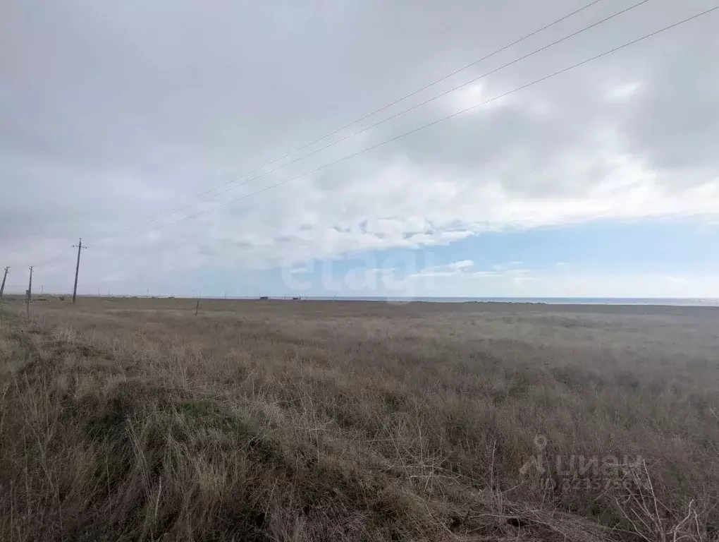 Участок в Крым, Черноморский район, Окуневское с/пос, с. Марьино  (5.0 ... - Фото 0