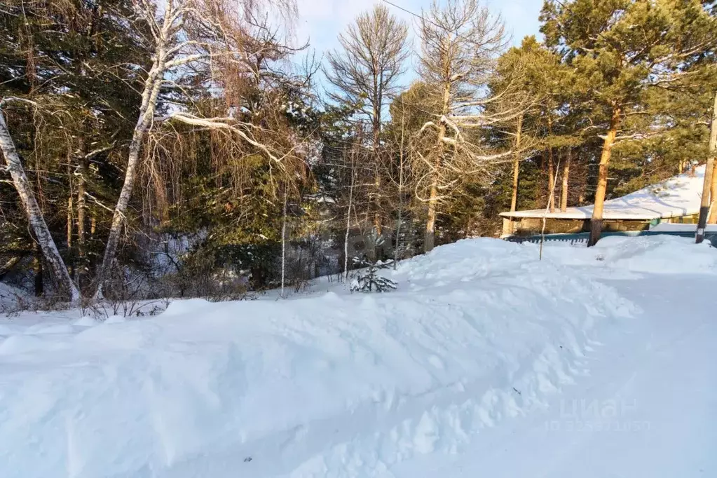 Участок в Томская область, Томск туп. 4-й Аникинский (3.73 сот.) - Фото 1