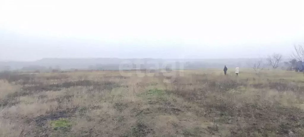 Участок в Прохоровский район, село Прелестное (35 м) - Фото 1