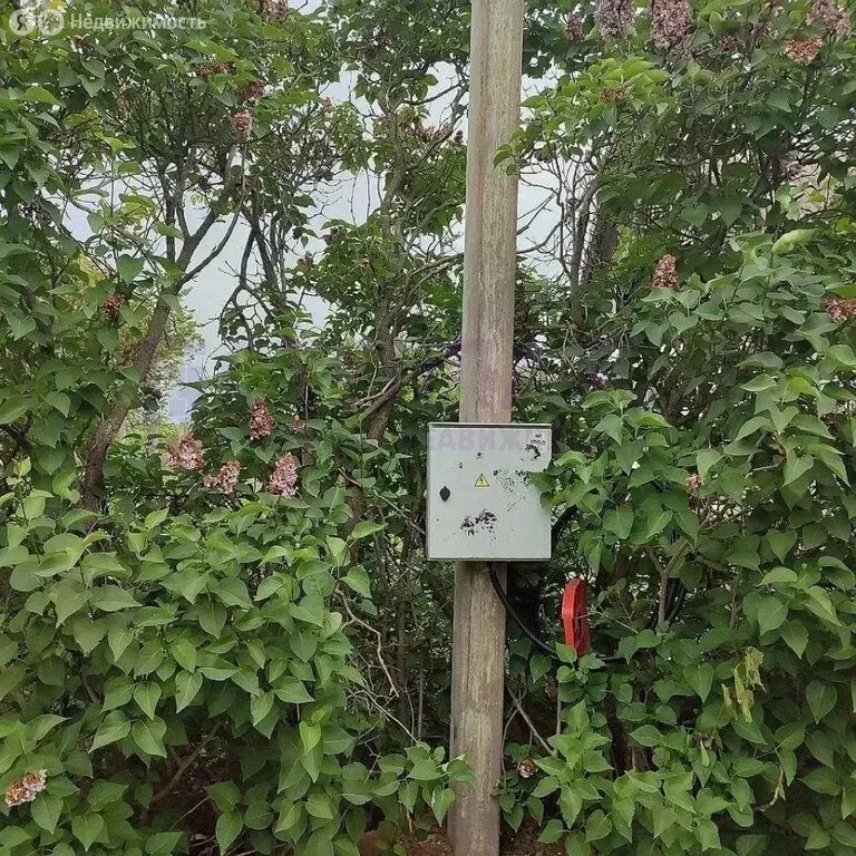 Дом в Калининград, СНТ Сад № 1, Цветочный проезд (30 м) - Фото 1