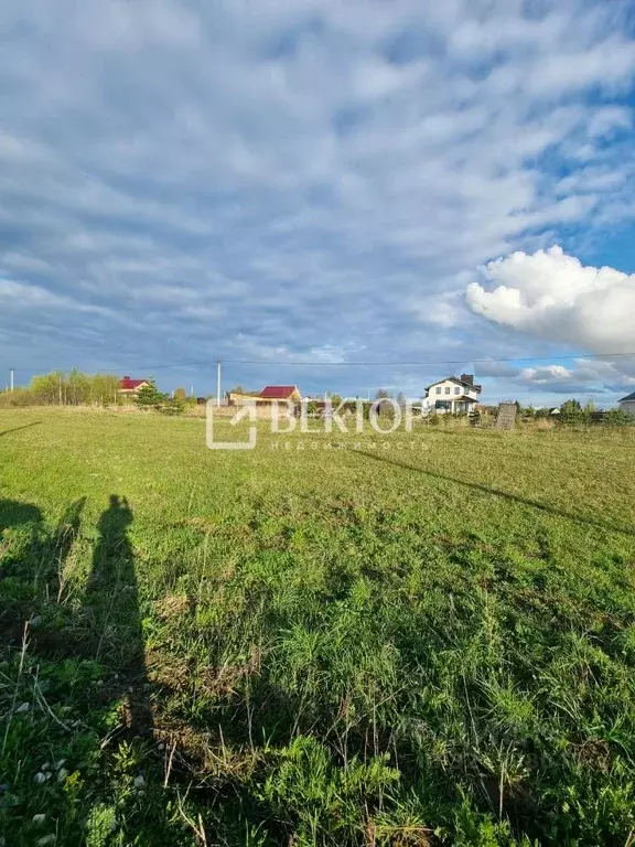 Участок в Ивановская область, Ивановский район, Беляницкое с/пос, д. ... - Фото 1