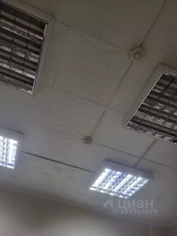 Помещение свободного назначения в Амурская область, Тында ул. Красная ... - Фото 2