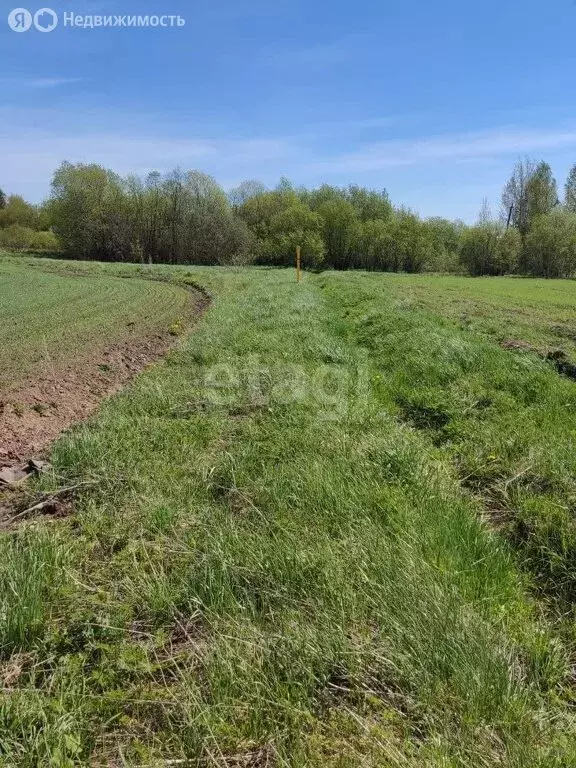 Участок в Краснодарский край, городской округ Новороссийск, село Южная ... - Фото 1