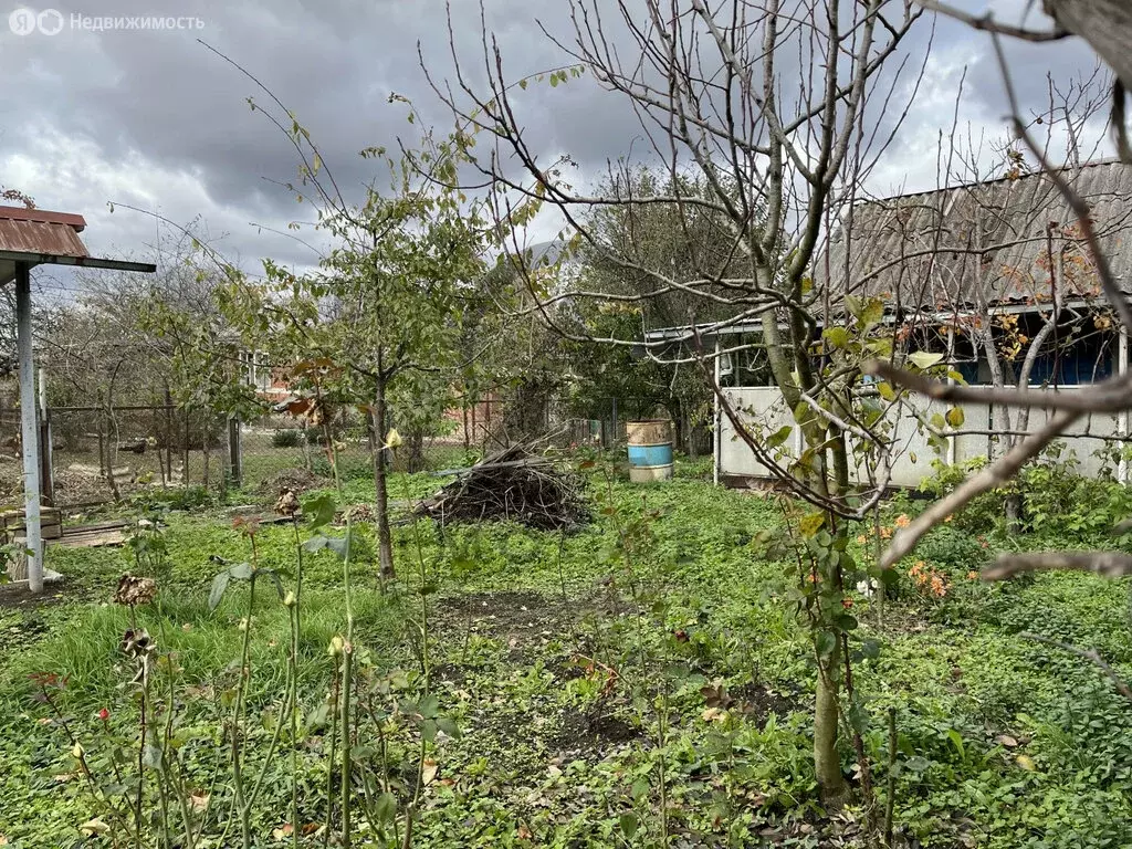 Участок в станица Нефтяная, улица Фрунзе (13.54 м) - Фото 1