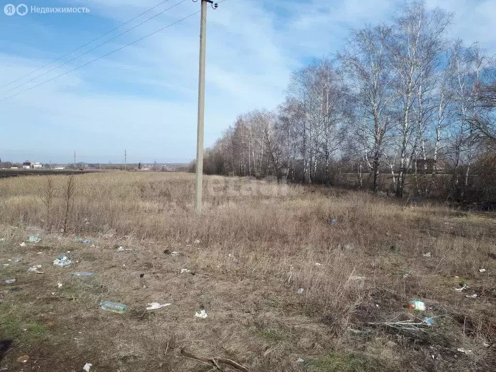 Участок в Тамбовский муниципальный округ, село Красносвободное (182 м) - Фото 1