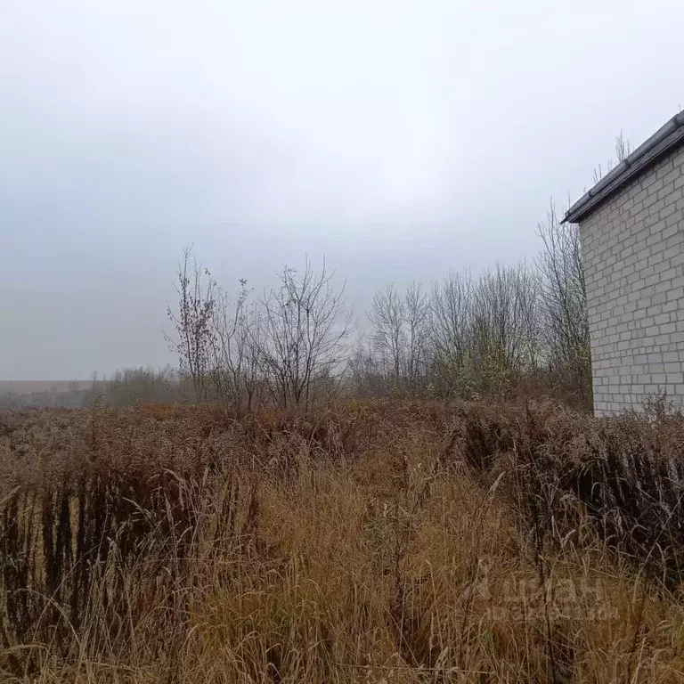 Участок в Брянская область, Брянский район, Добрунское с/пос, д. ... - Фото 0