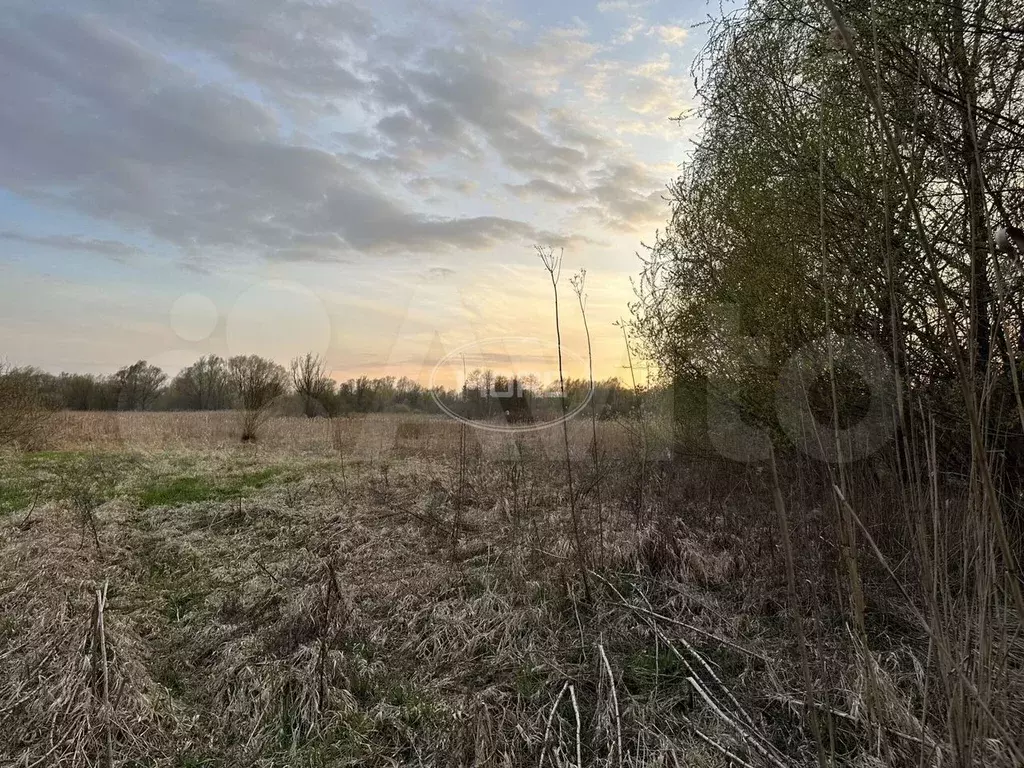 Участок 4,3 сот. (СНТ, ДНП) - Фото 1
