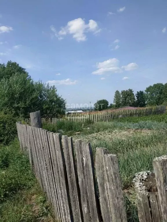 Участок в Вологодская область, д. Севастьяново 36 (50.0 сот.) - Фото 1