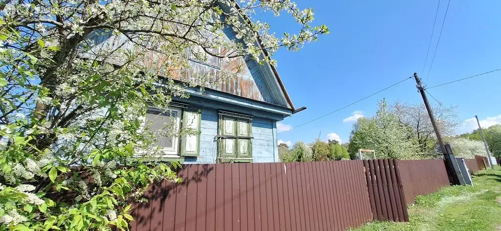 Участок в Пенза, улица Камыши-Хвощи, 6А (14 м) - Фото 1