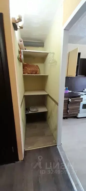 1-к кв. Иркутская область, Братск ул. Муханова, 8 (36.0 м) - Фото 2