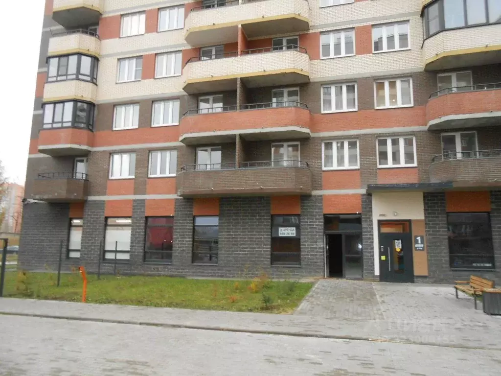 Помещение свободного назначения в Ленинградская область, Мурино ... - Фото 1