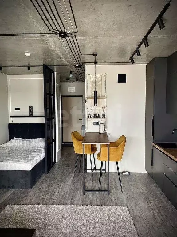 Студия Тюменская область, Тюмень ул. Николая Ростовцева, 26к1 (29.2 м) - Фото 1