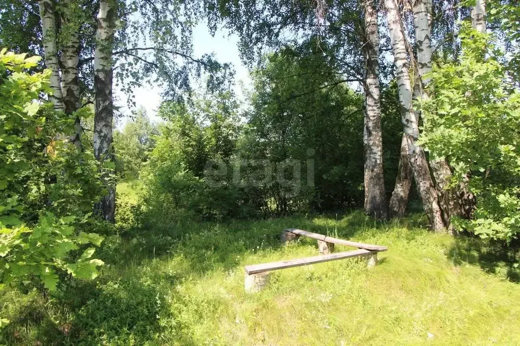 Участок в Московская область, Богородский городской округ, Вечерняя ... - Фото 1