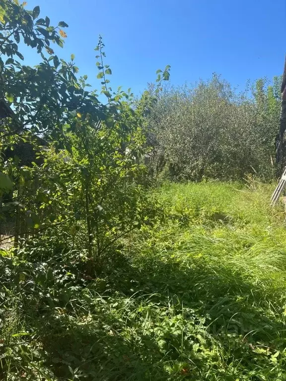 Участок в Калужская область, Ферзиковский район, Красный Городок ... - Фото 2