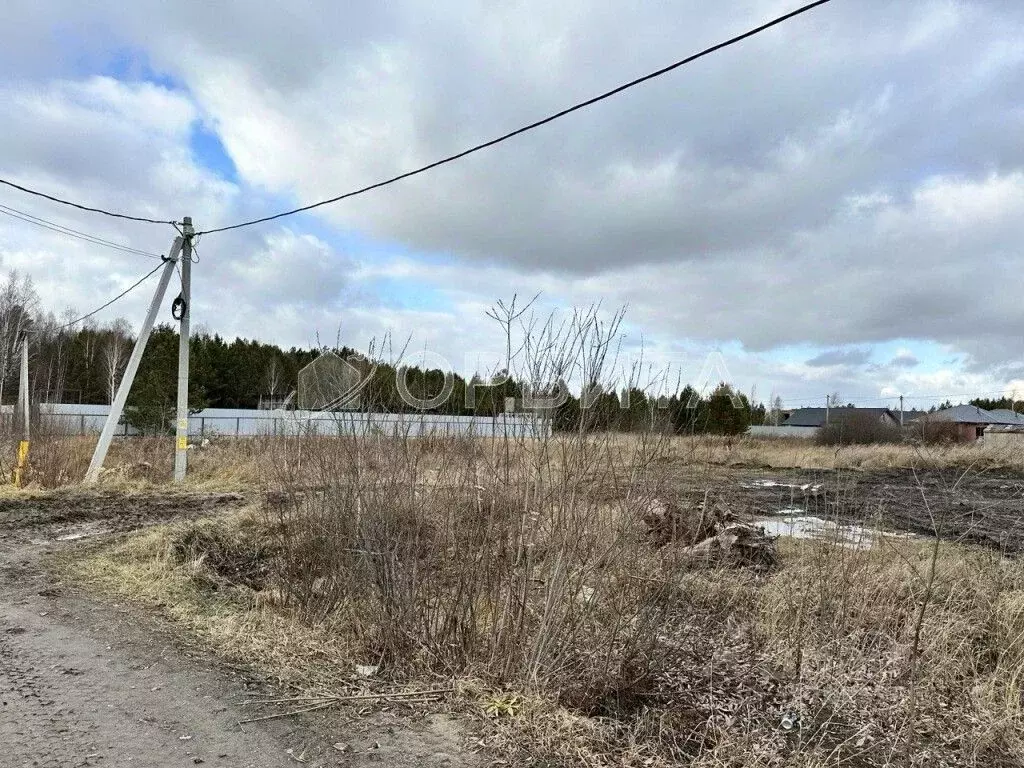 Участок в Тюменская область, Тюменский муниципальный округ, с. ... - Фото 2