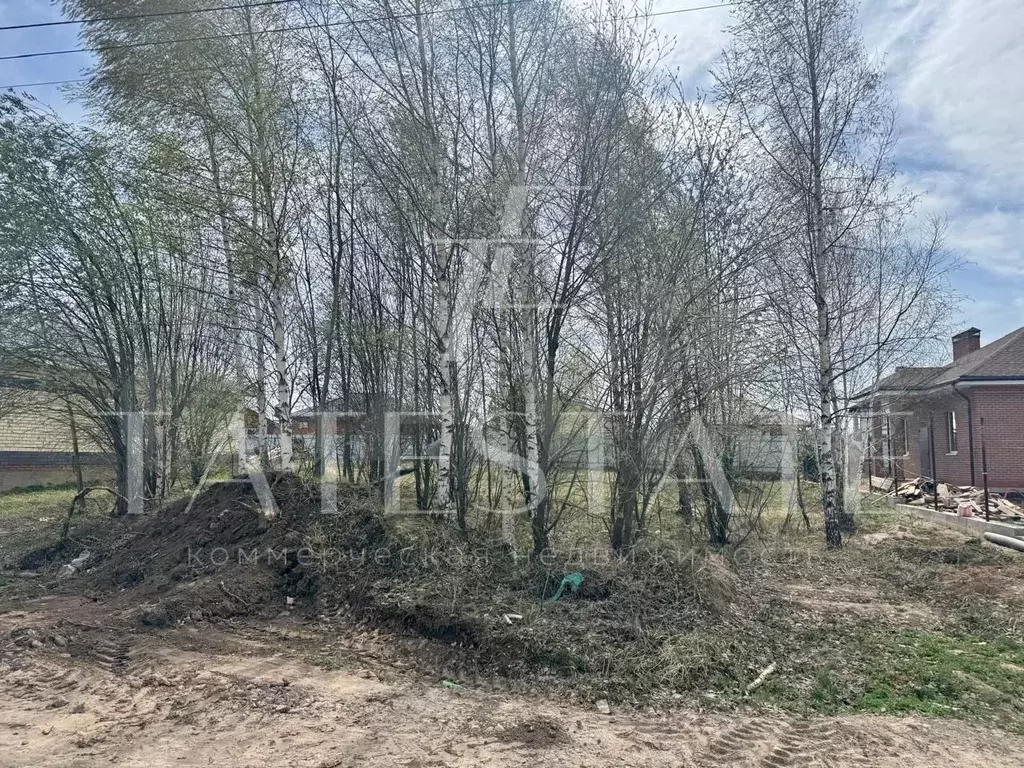 Участок 47 сот. (ИЖС) - Фото 1
