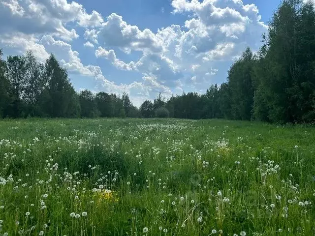 Участок в Ярославская область, Рыбинский район, с. Глебово  (15.0 ... - Фото 0