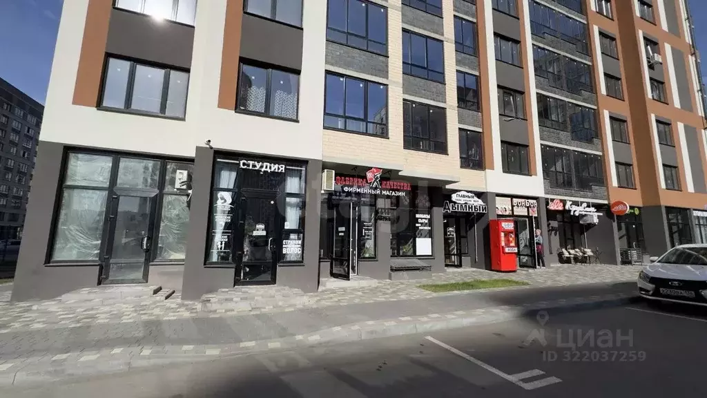 Торговая площадь в Воронежская область, Воронеж ул. Независимости, ... - Фото 1