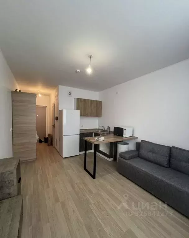 Студия Свердловская область, Екатеринбург ул. Победы, 102 (20.0 м) - Фото 1