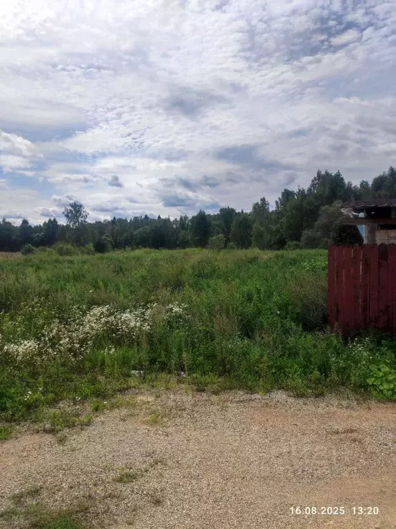 Участок в Калужская область, Совхоз Боровский с/пос, д. Тимашово ул. ... - Фото 1